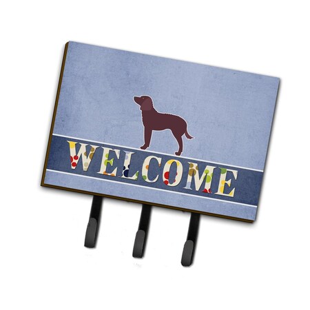 Carolines Treasures American Water Spaniel Welcome Leash or Key Holder BB5505TH68